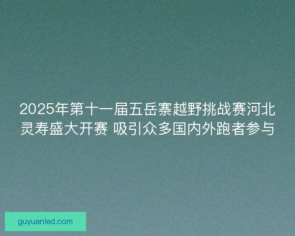 2025年第十一届五岳寨越野挑战赛河北灵寿盛大开赛 吸引众多国内外跑者参与