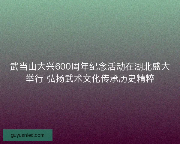 武当山大兴600周年纪念活动在湖北盛大举行 弘扬武术文化传承历史精粹